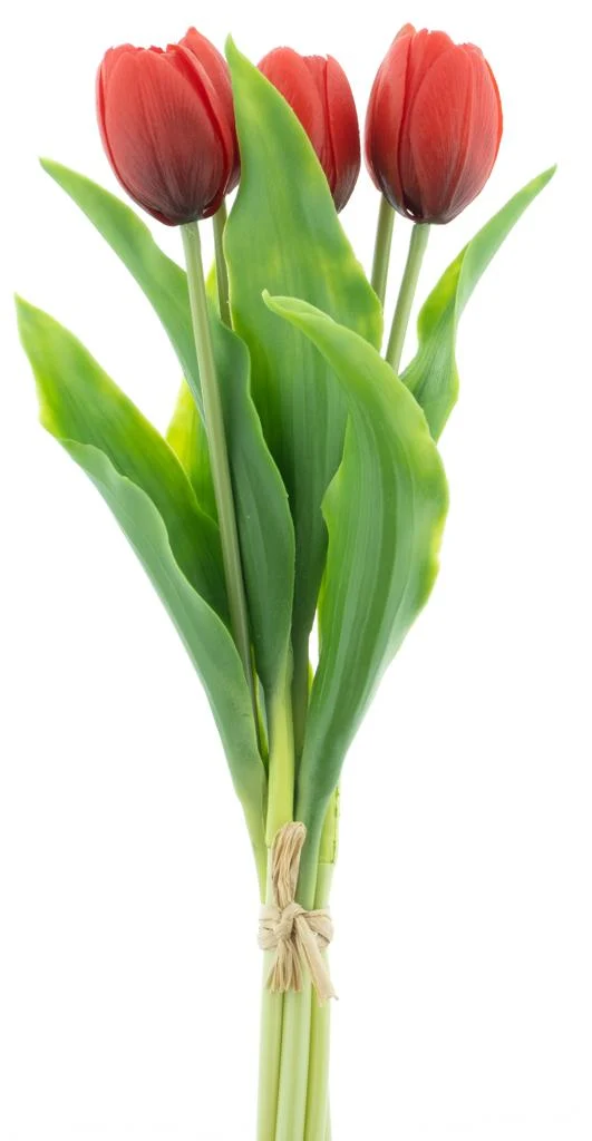Real Touch Holland Tulip bundle Sally X5 red 36cm
