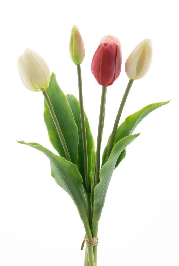 Real Touch Holland Tulip bundle Sally X5 pink/cream combo 36cm