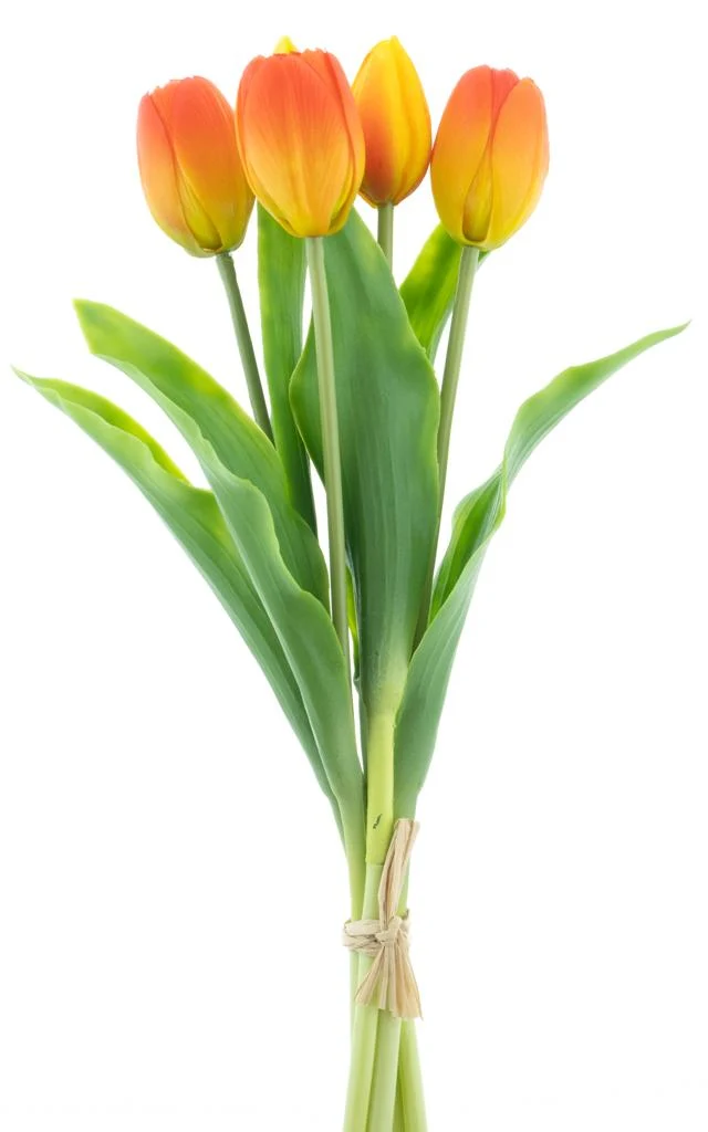 Real Touch Holland Tulip bundle Sally X5 orange 36cm