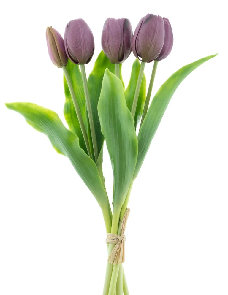 Real Touch Holland Tulip bundle Sally X5 aubergine 36cm