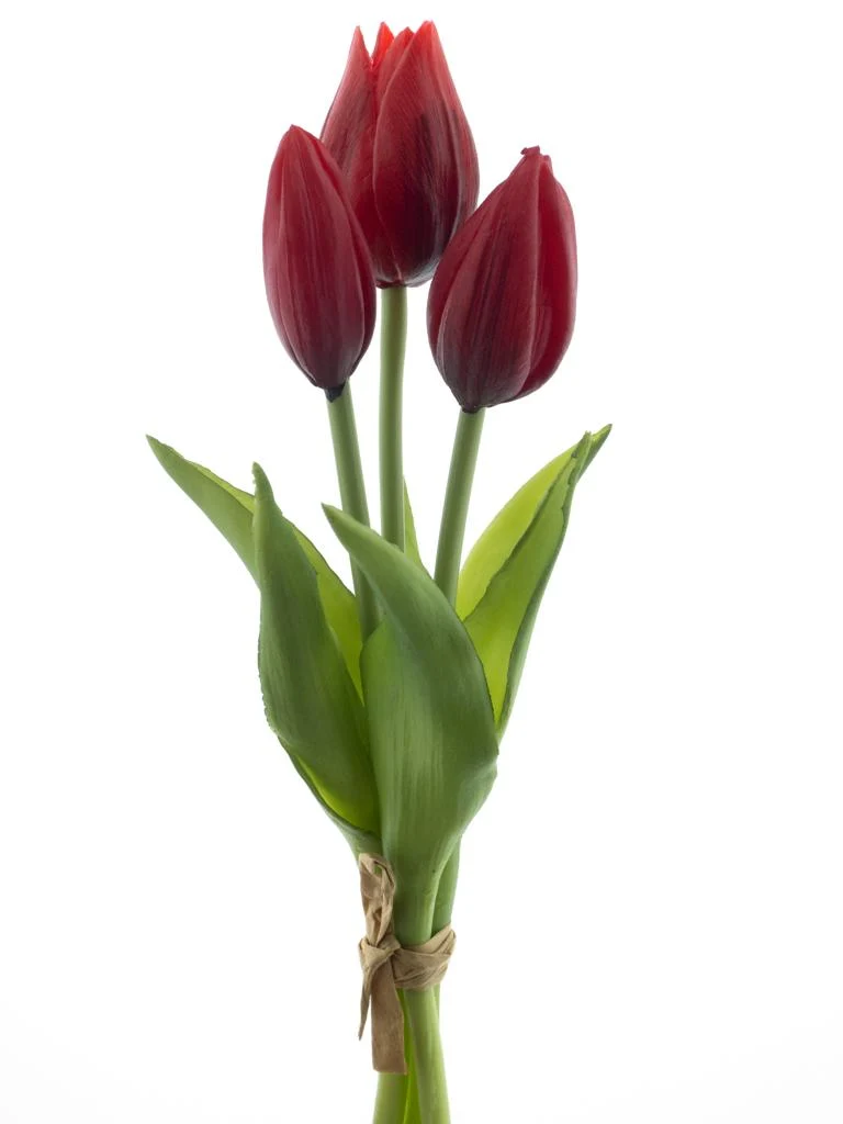 Real Touch Holland Tulip bundle Sally x3 red 25cm