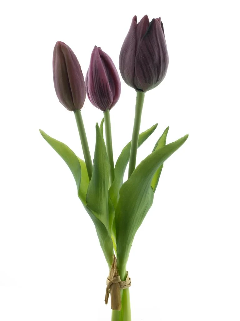 Real Touch Holland Tulip bundle Sally x3 aubergine 25cm