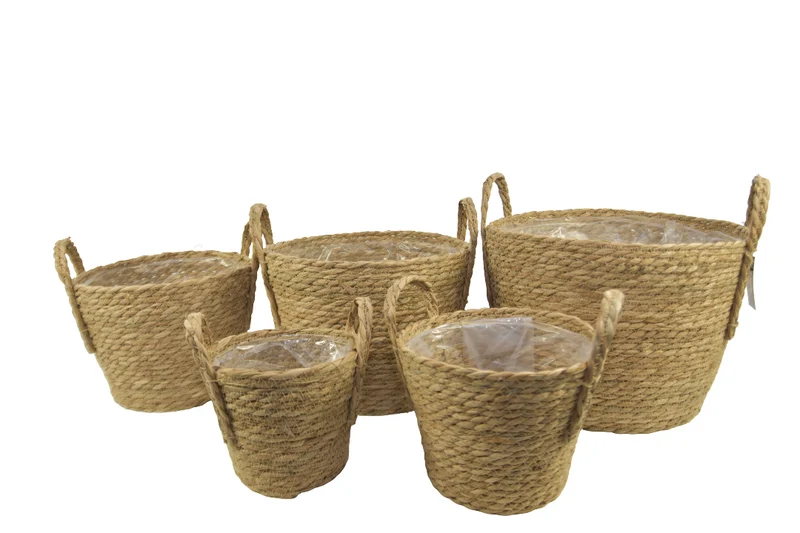 Set/5 Zeegras manden met oren naturel D34 H31cm