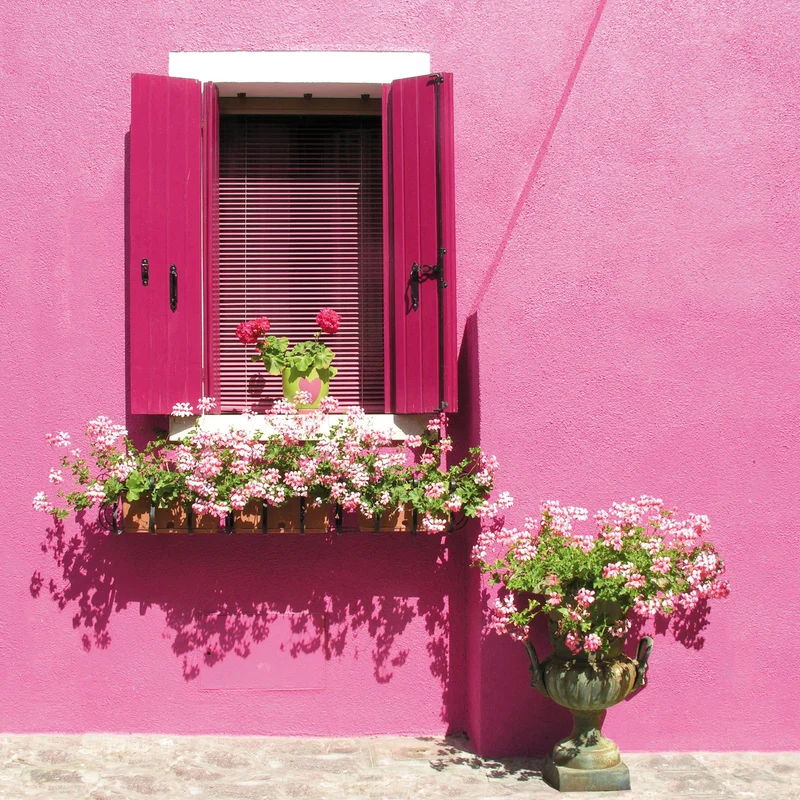 BUITEN CANVAS 58X58CM ROZE HUIS