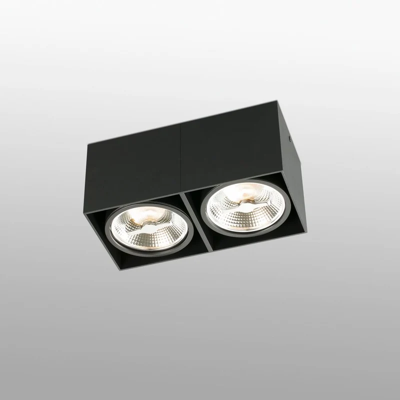 Deckenlampe TECTO 2-flammig Schwarz