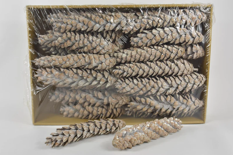 Dennenappel 'Strobus' bevroren wit ±30cm 25pcs