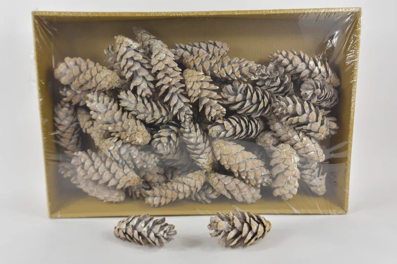 Dennenappel 'Strobus' bevroren wit ±15cm 50pcs
