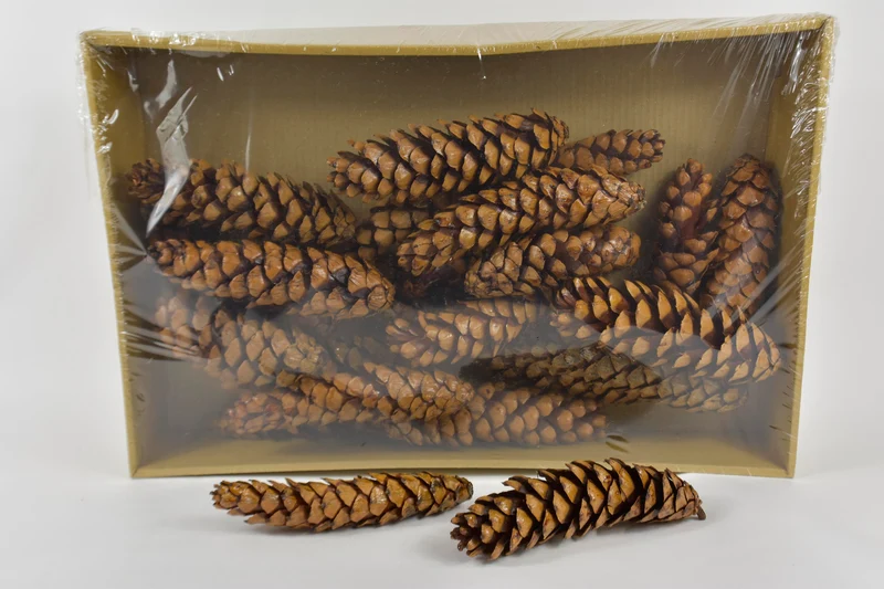 Dennenappel 'Strobus' gelakt ±25cm 25pcs