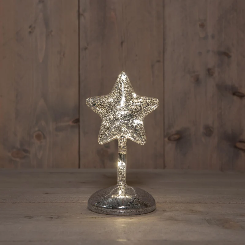 STER OP STAM GLAS LED OP BATTERIJ MET TIMER H19CM ZILVER