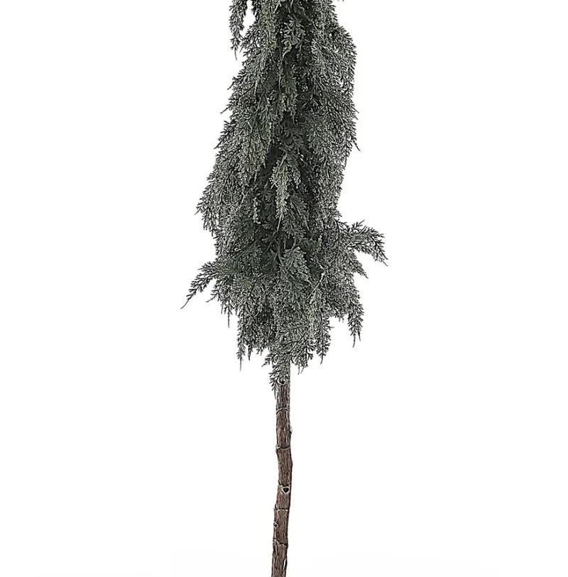 Cedar/Cone Tree on Stem in Pot 160cm Green