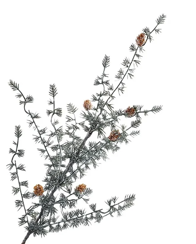 Ming Pine Spray 81cm Green/White