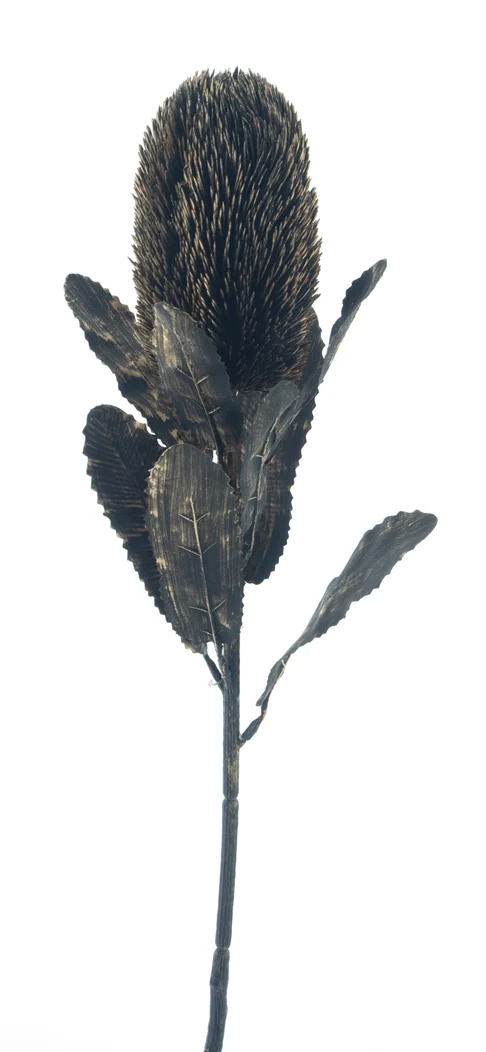 X'mas protea spray black gold 65cm
