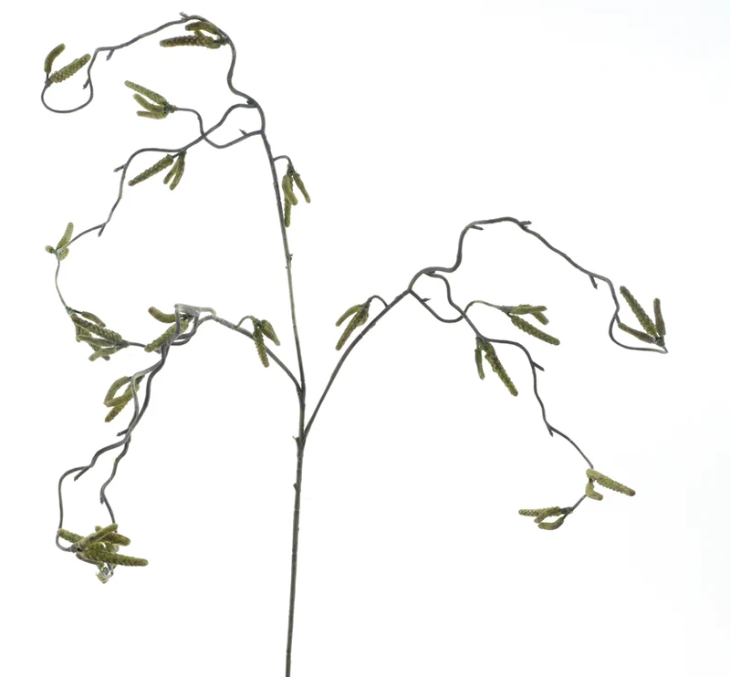 Corylus flower spray green 68cm