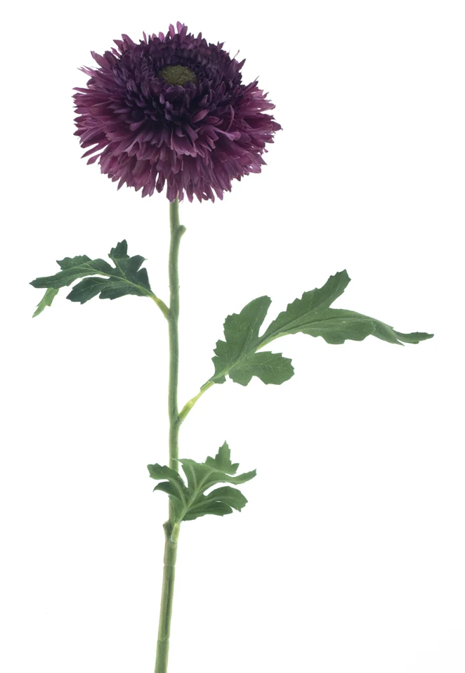 Wild gerbera spray purple 67cm