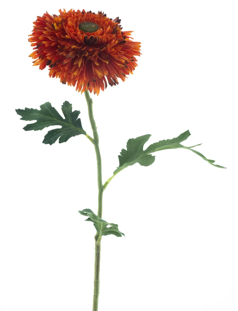 Wild gerbera spray orange 67cm