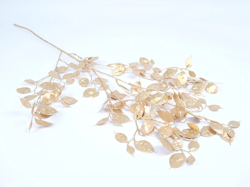 Lunaria gold 90cm