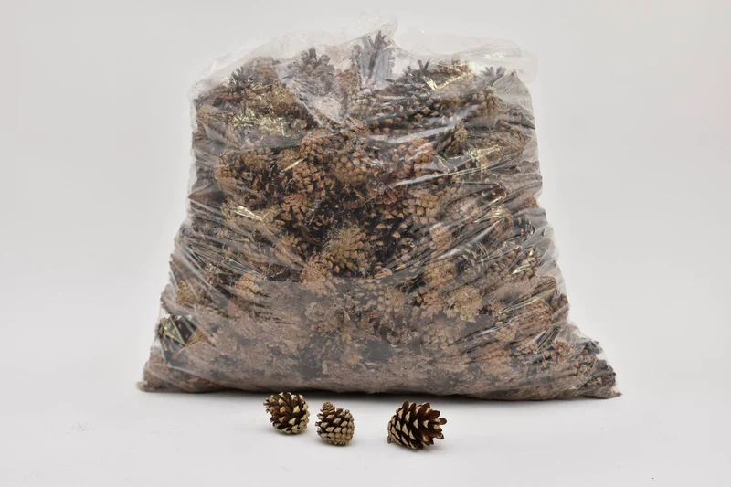 PINUS SILVESTERS 3-5 CM NATURAL POLY/5 KG