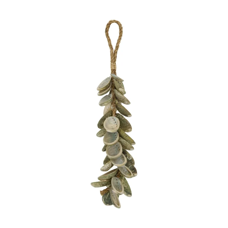 Hanger abalone shell nature 40x6x6cm Natural