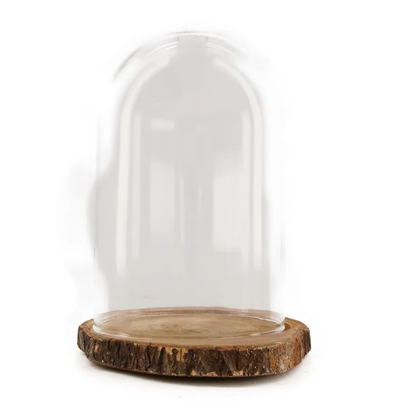 Bell glass with wooden base Ø18x26cm Natural