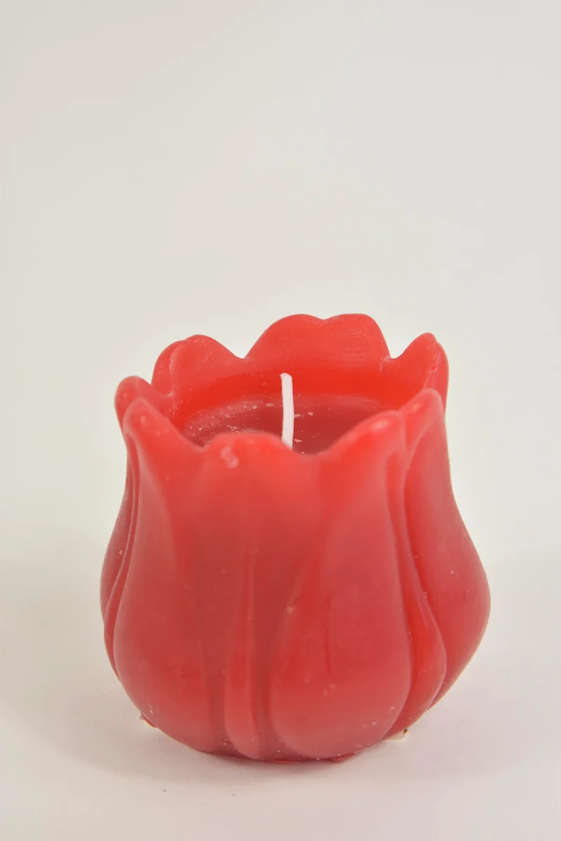 CANDLE/TULIP FRAGRANCE D12X10H RED