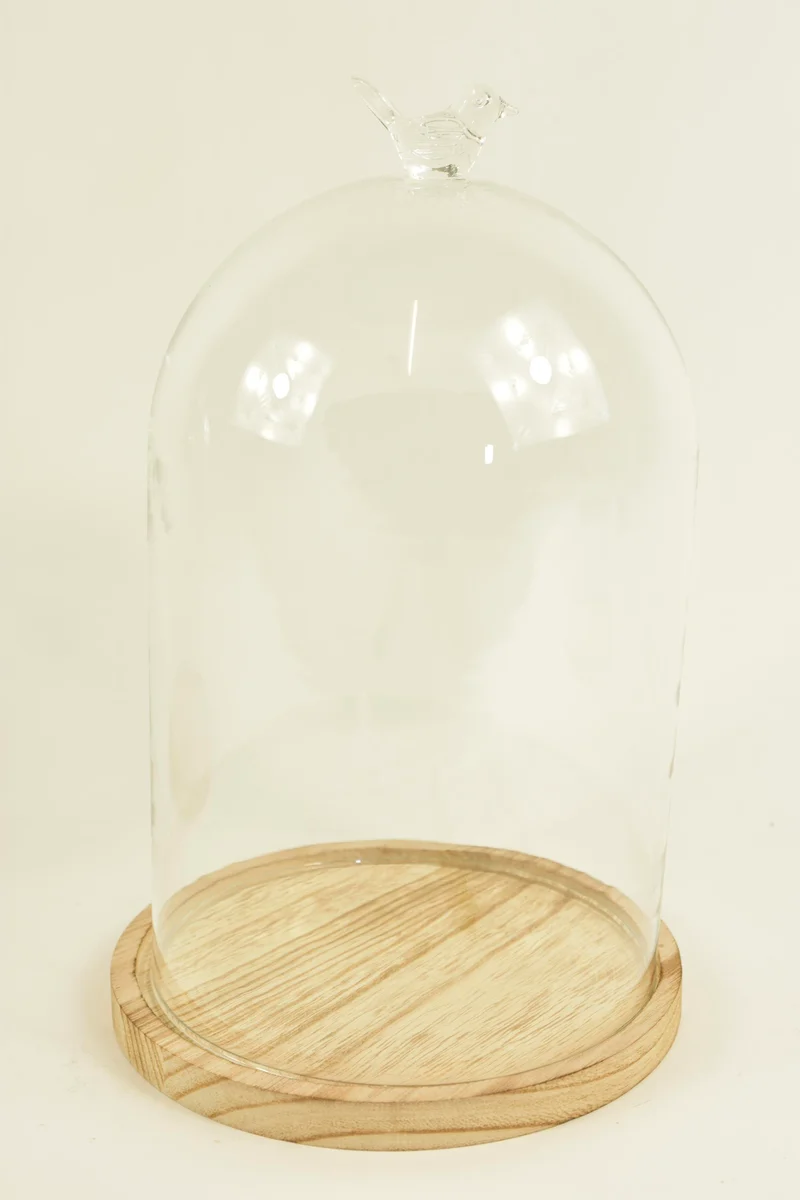 BELL GLASS BIRD D17X28H ON WOODEN BASE NATURAL