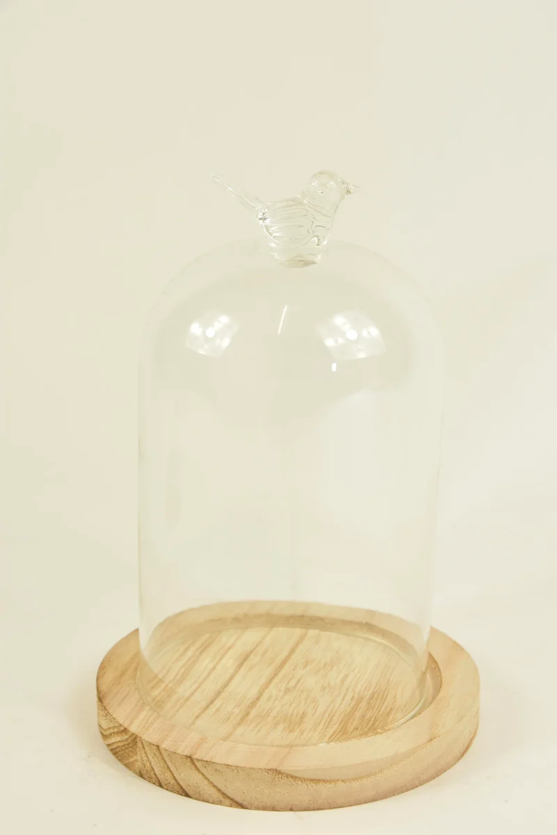 BELL GLASS BIRD D13X19H ON WOODEN BASE NATURAL