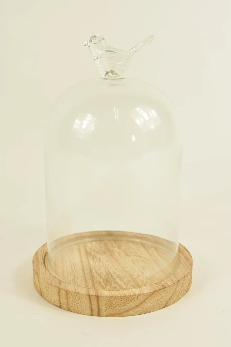 BELL GLASS BIRD D11X16H ON WOODEN BASE NATURAL