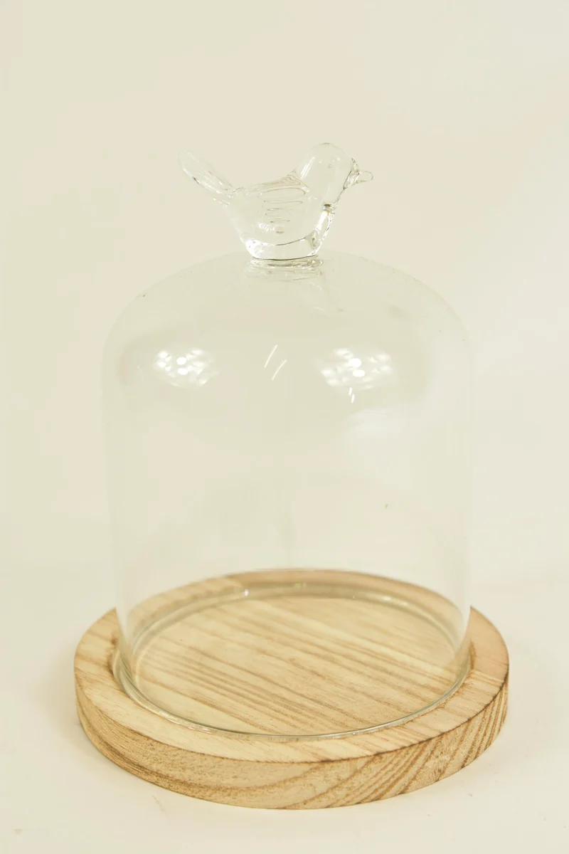 BELL GLASS BIRD D10X13,5H ON WOODEN BASE NATURAL