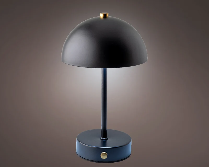 LED oplaadbare lamp metaal binnen zwart/warm wit d15 H25cm