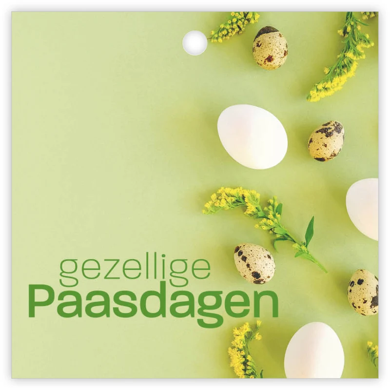 Pakje a 12 Kadokaartjes Gelegenheid Gezellige Paasdagen