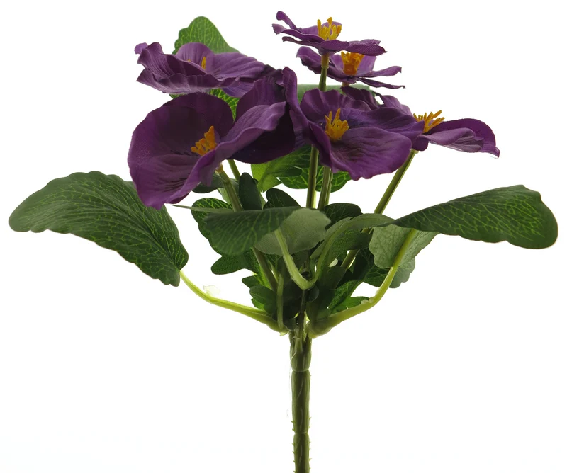 Viola pick purple 20cm