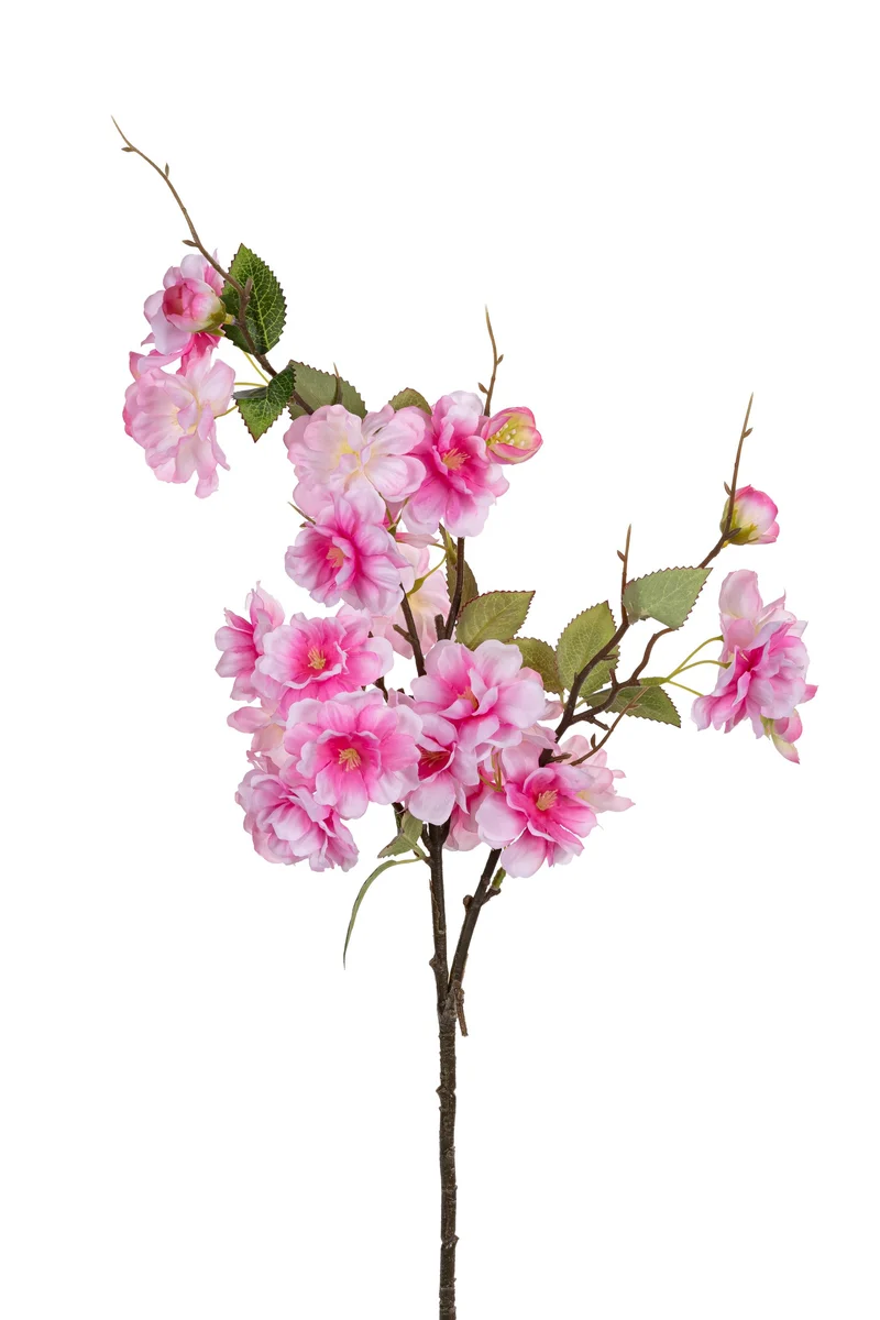 Bloesem l75cm dnkr roze