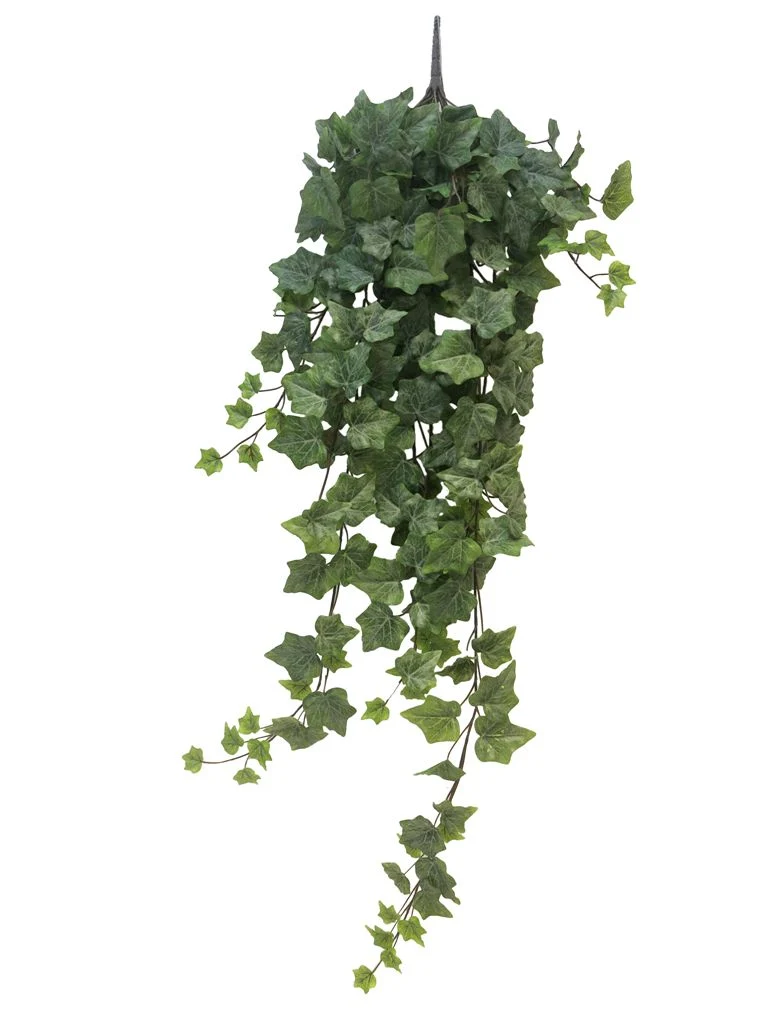 Ivy Chicago hanger XL frosted100cm (259 lvs)