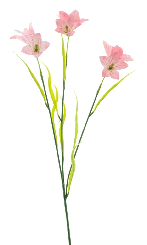 Wild cora bell spray pink 63cm