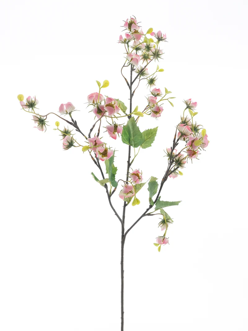 Mini physalis spray pink 92cm