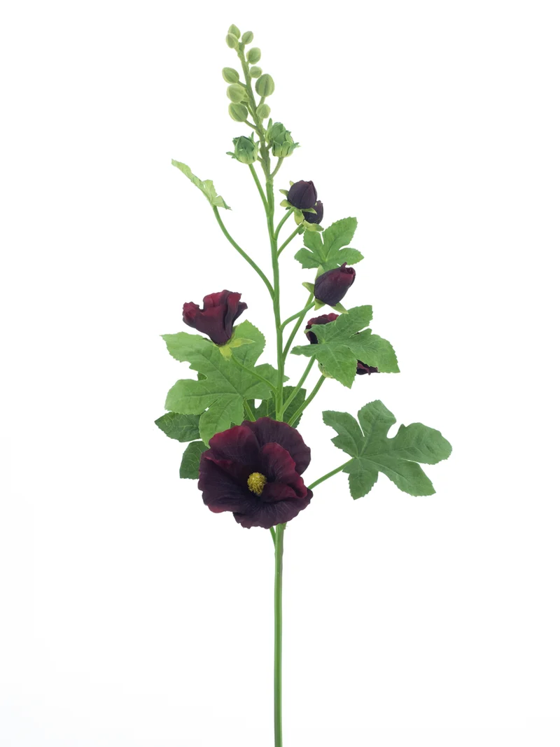 Alcea spray burgundy 102cm