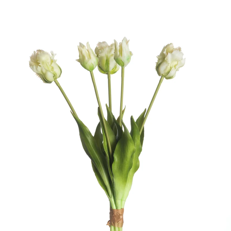 Real Touch Parrot Tulip x5 L40cm White/Green