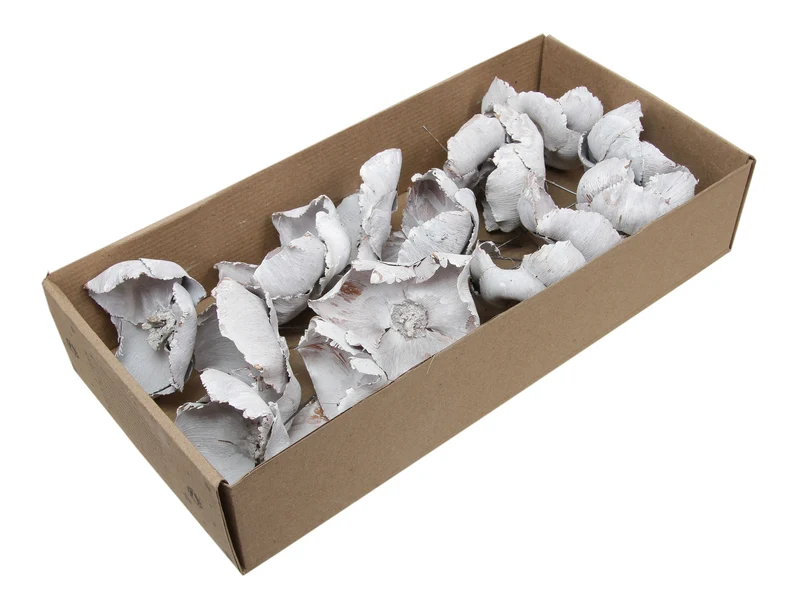 w/b 15 palm cups/wire 10cm white wash