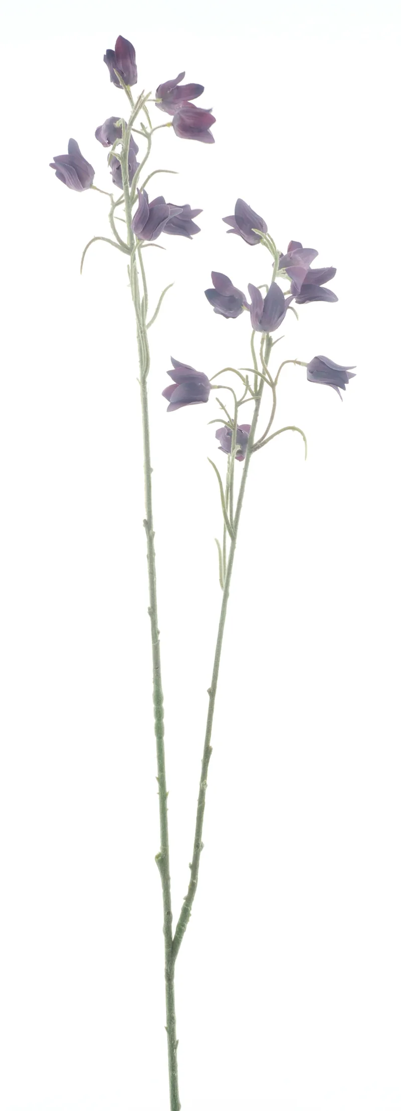Mini cora bell spray purple 105cm