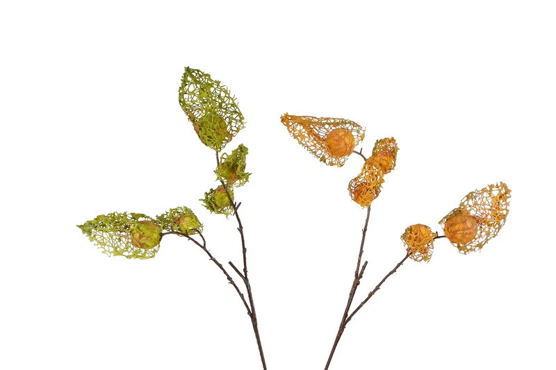 Kunst tak "Physalis 5x" L groen/geel 2 assortie zijde 75cm