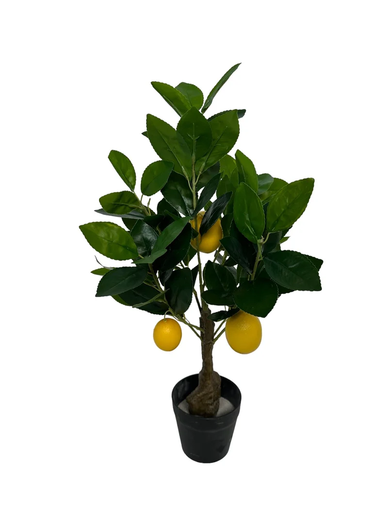 Lemon tree bonsai 50 cm yellow