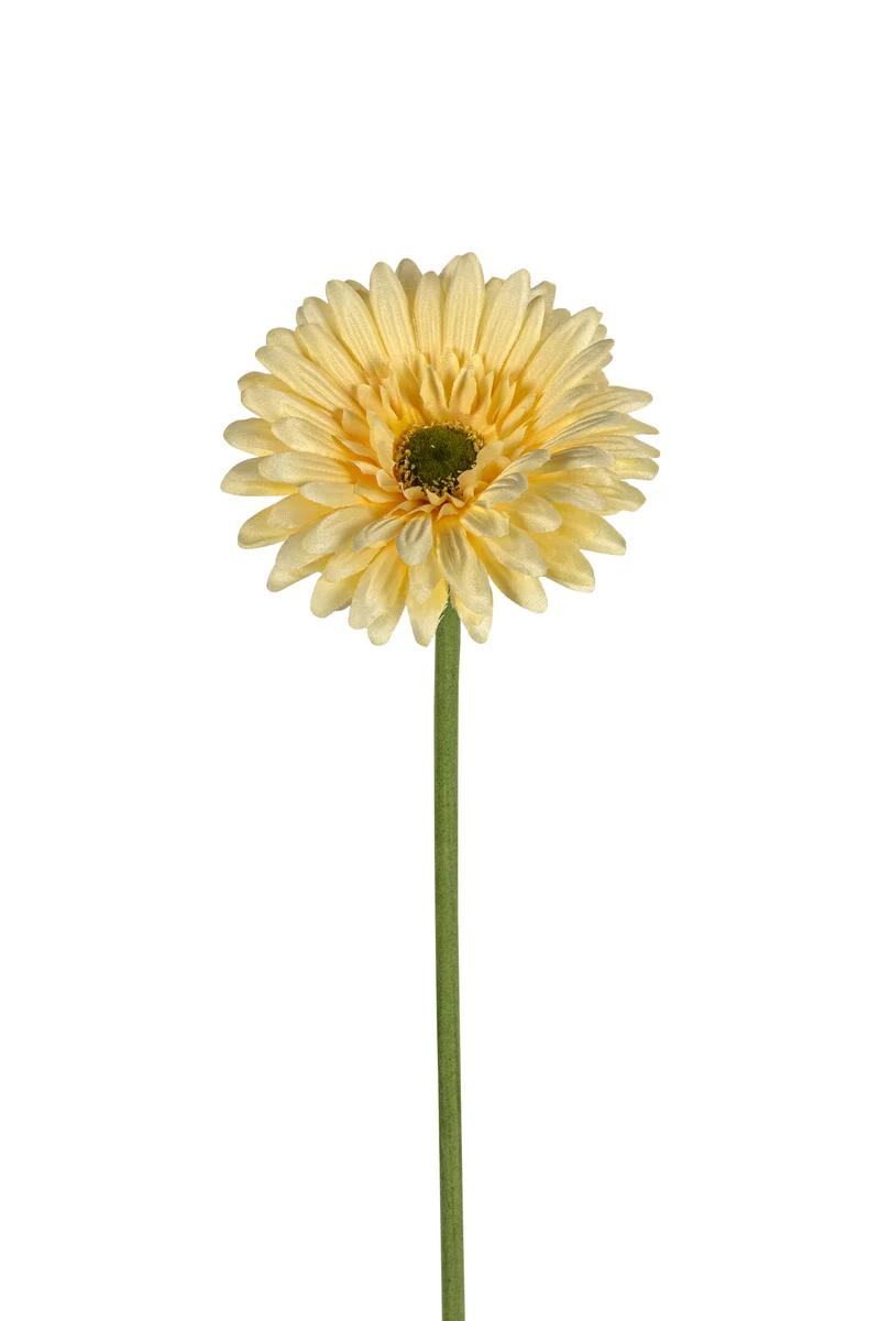 Gerbera l58cm geel