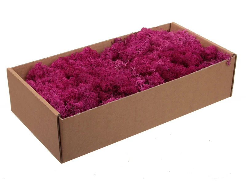 w/b. 500g. finnland moss fuchsia 500gram