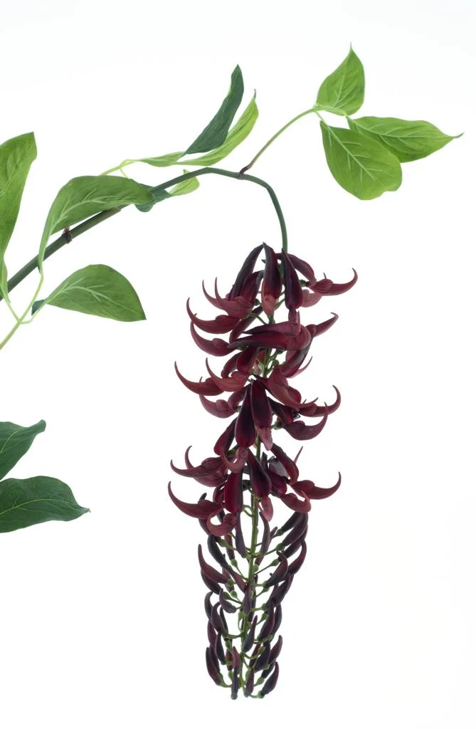 Wild wisteria garland red 162cm
