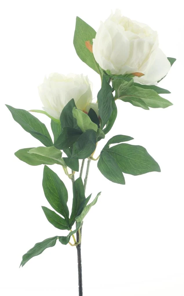 Paeony spray Chiba cream 65cm