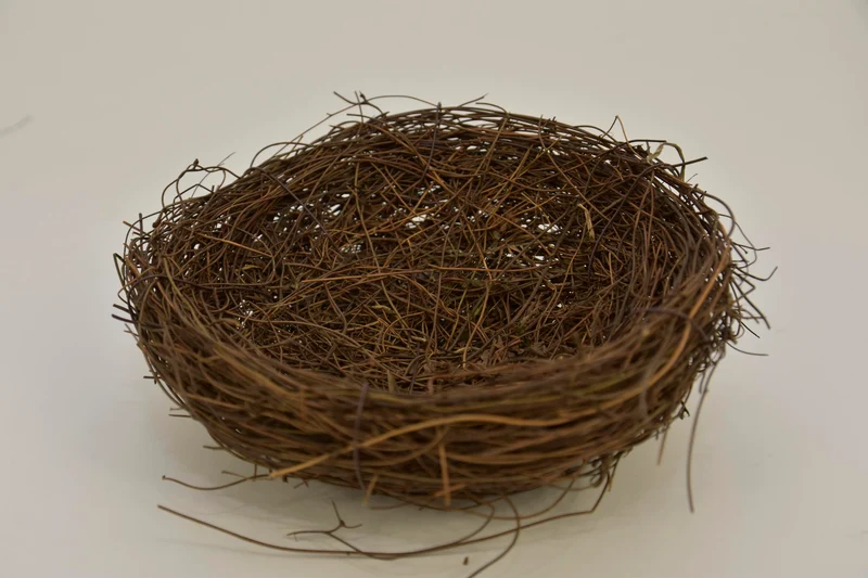 Salimnest 20cm naturel