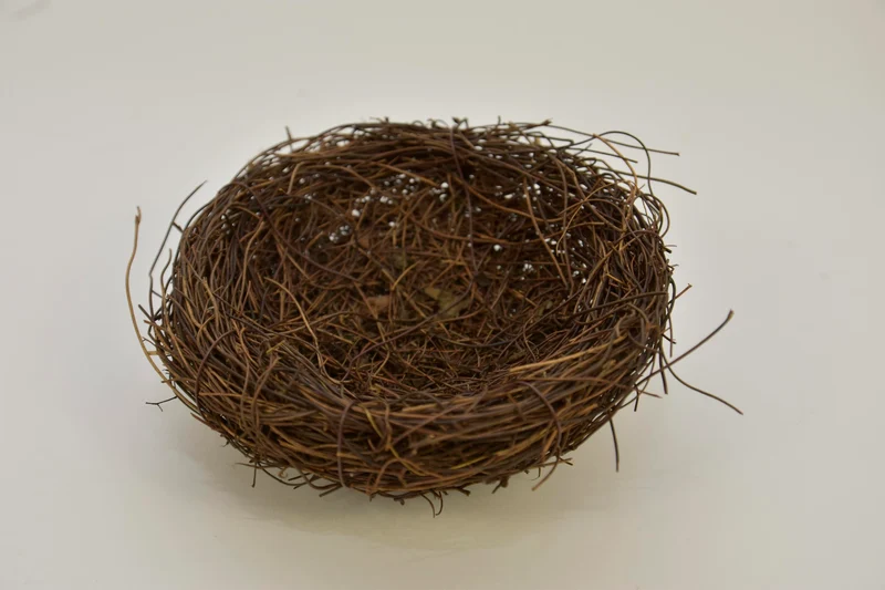 Salimnest 15cm naturel