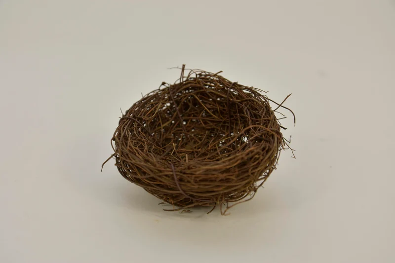 Salimnest 7cm naturel