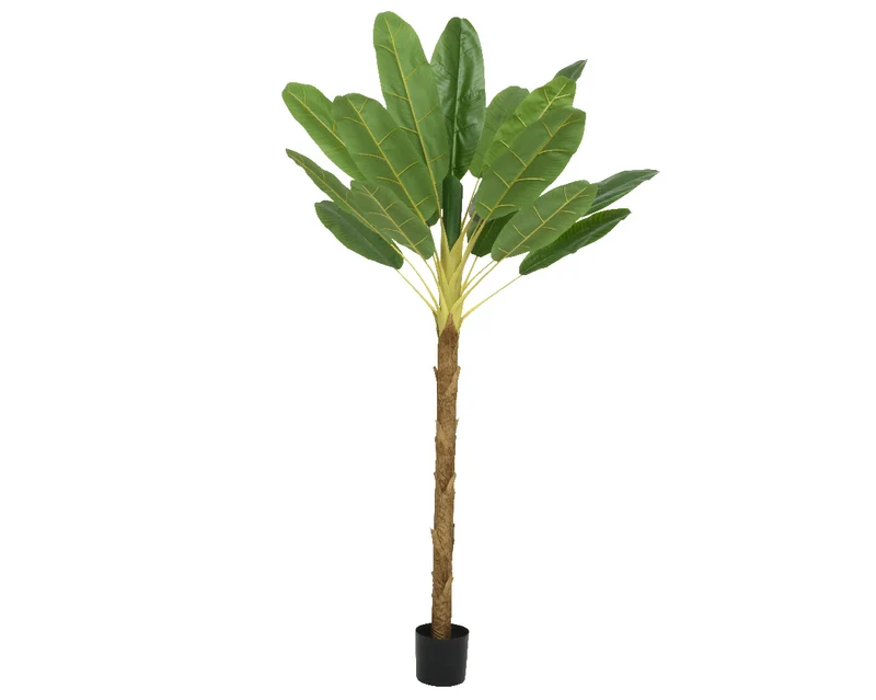 Bananenplant in pot groen L.120cm x W.120cm x H.280cm