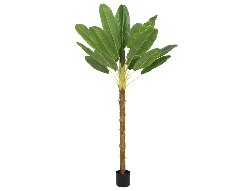 Bananenplant in pot groen L.120cm x W.100cm x H.180cm